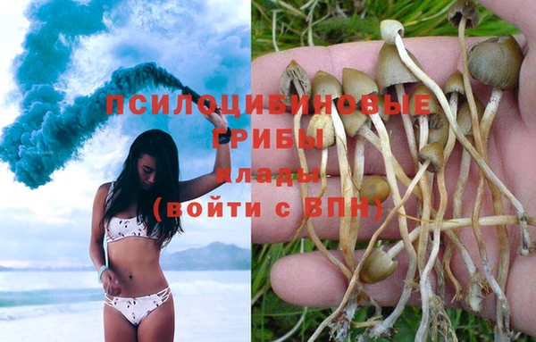 гидропоника Белоозёрский