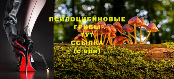 гидропоника Белоозёрский